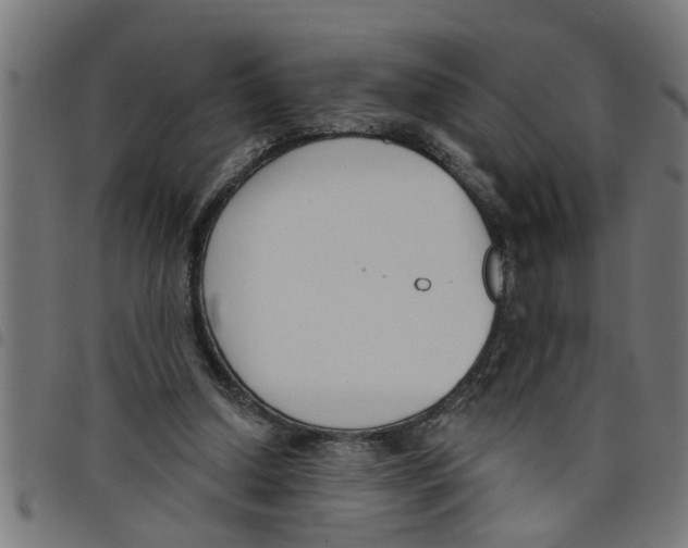 X0000098050250200804251111
