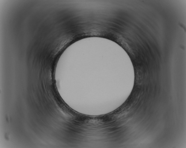 X0000098050251200804251111