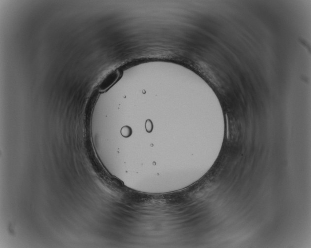 X0000098050252200804251111