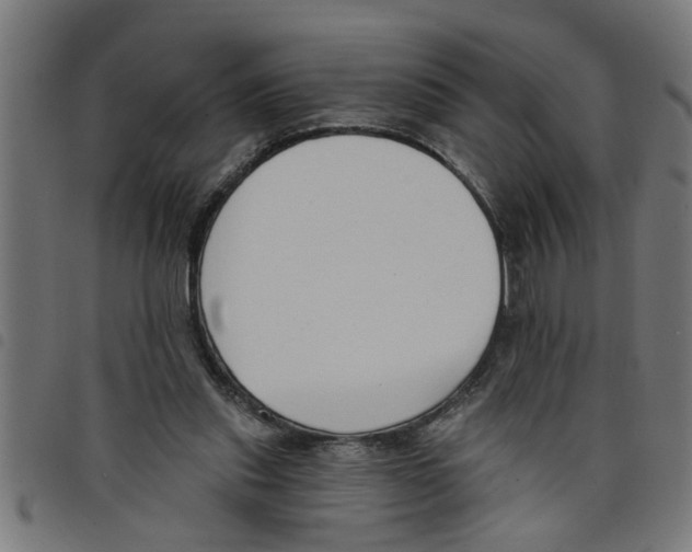 X0000098050253200804251111