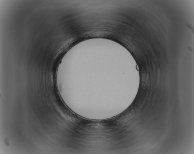 X0000098050254200804251111