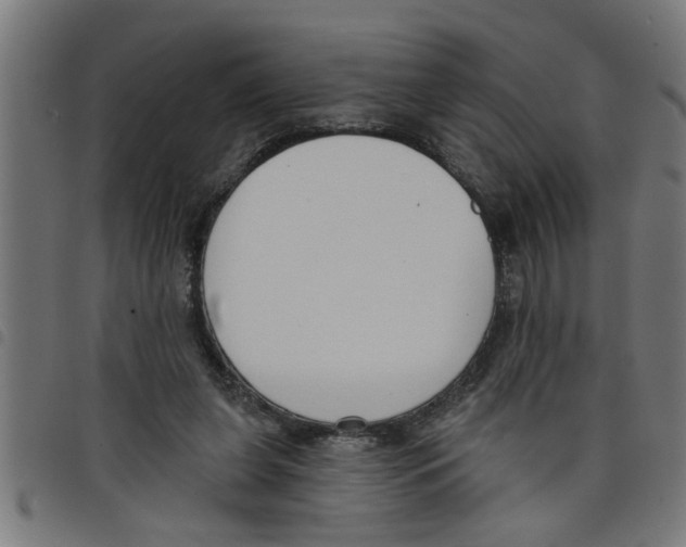 X0000098050255200804251111