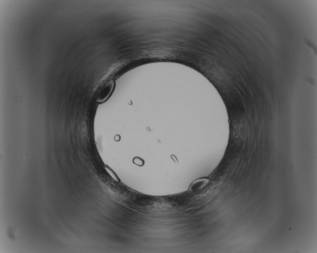 X0000098050256200804251111