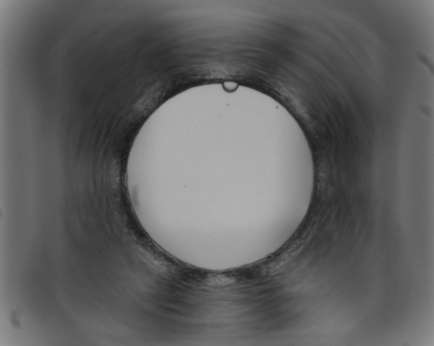 X0000098050257200804251111