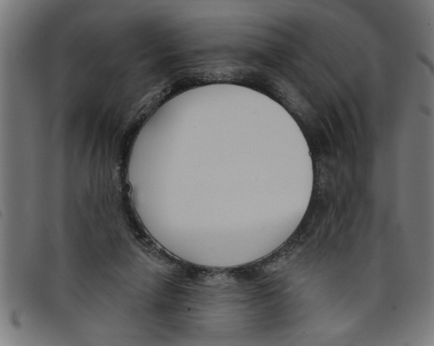 X0000098050258200804251111