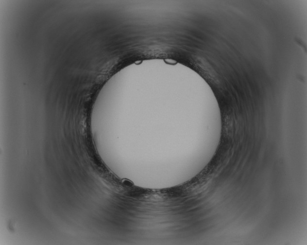 X0000098050259200804251111