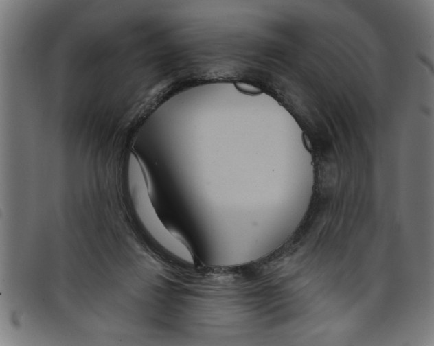 X0000098050260200804251111