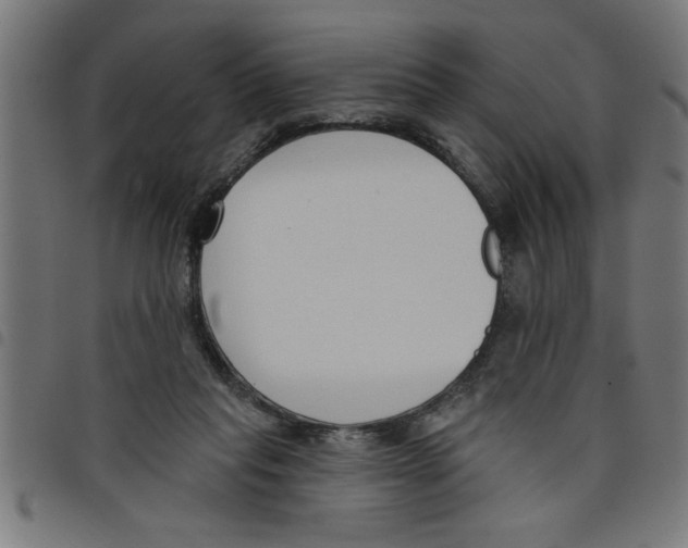 X0000098050261200804251111