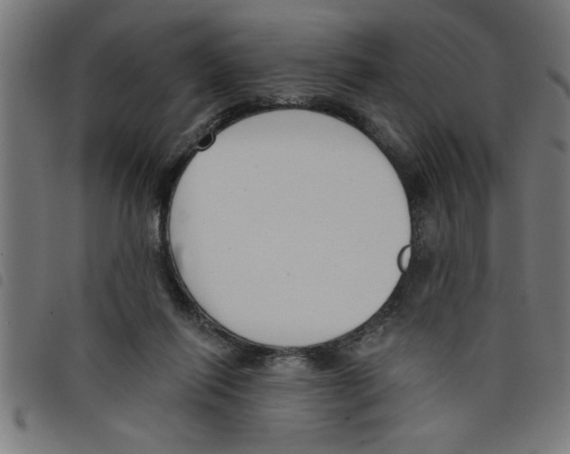 X0000098050262200804251111