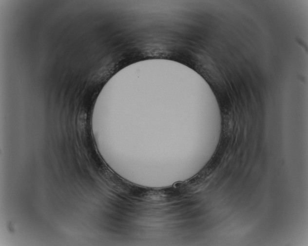 X0000098050263200804251111