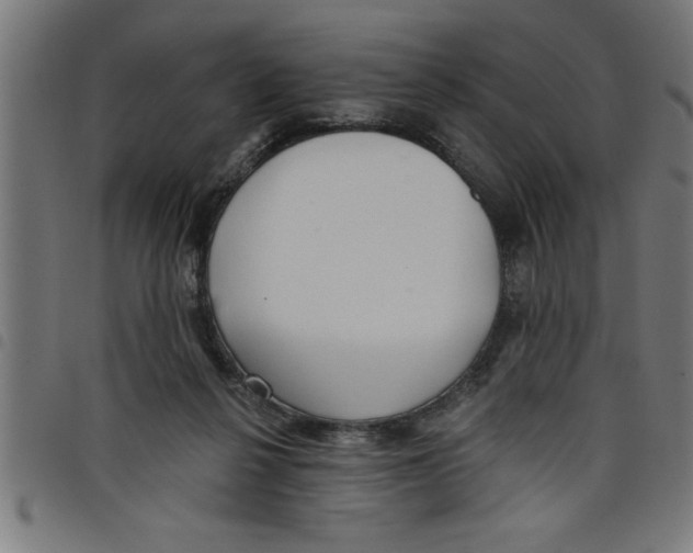 X0000098050264200804251111