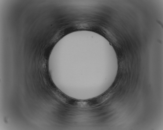 X0000098050265200804251111