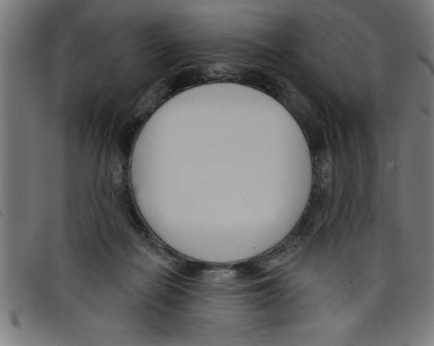 X0000098050266200804251111