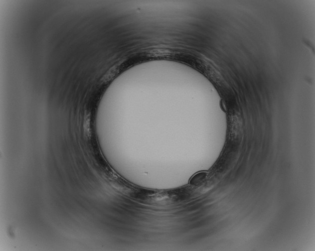 X0000098050267200804251111