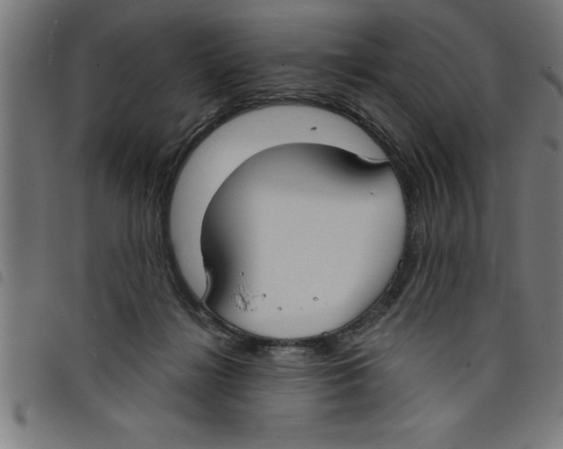 X0000098050268200804251111