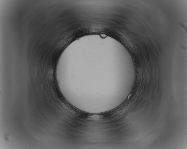 X0000098050269200804251111