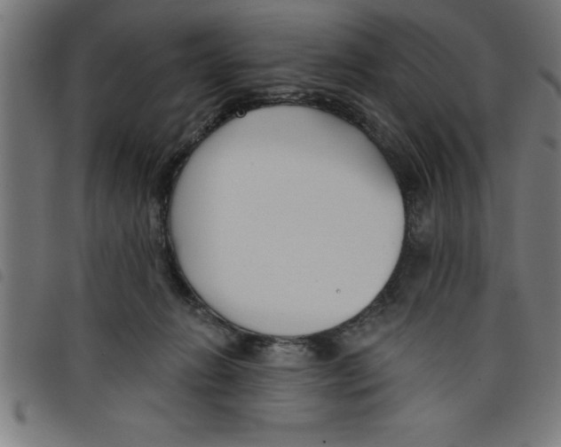 X0000098050270200804251111