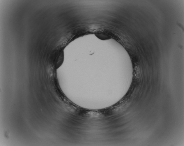 X0000098050272200804251111