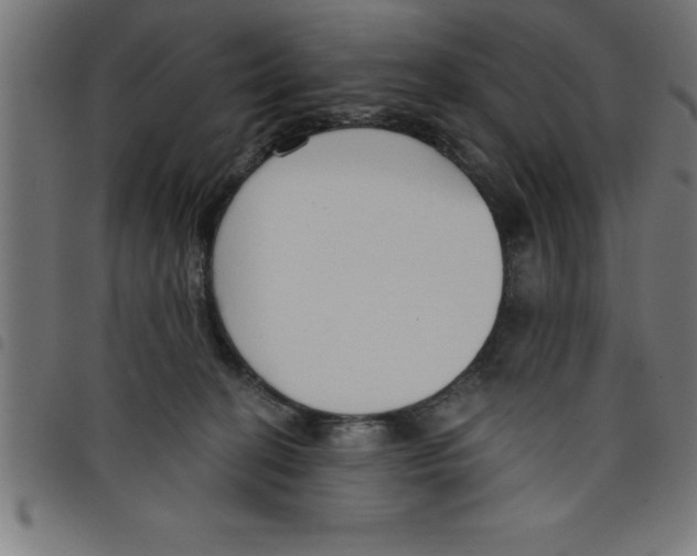 X0000098050274200804251111