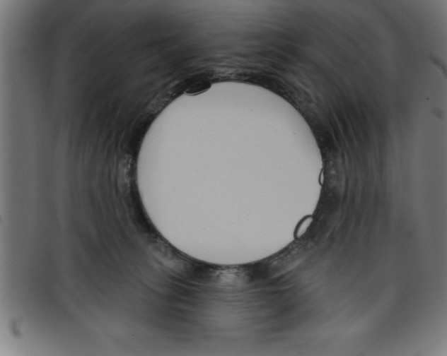 X0000098050275200804251111