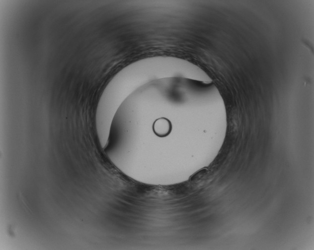 X0000098050276200804251111