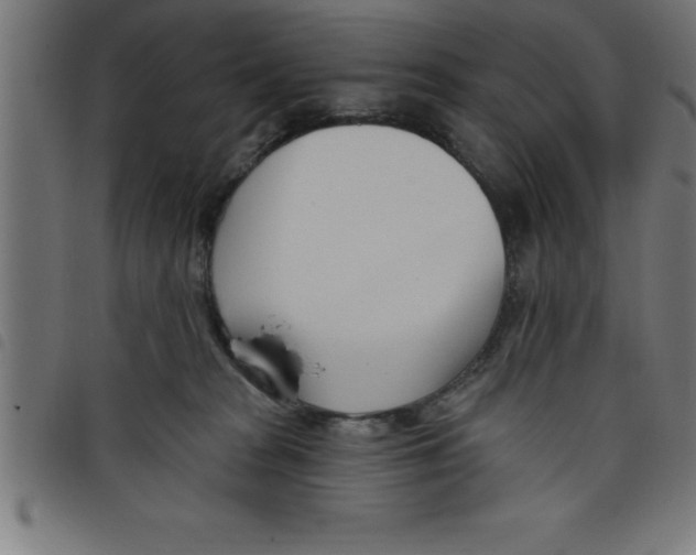 X0000098050277200804251111