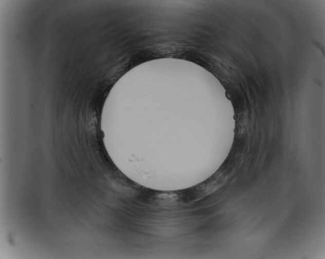 X0000098050279200804251111