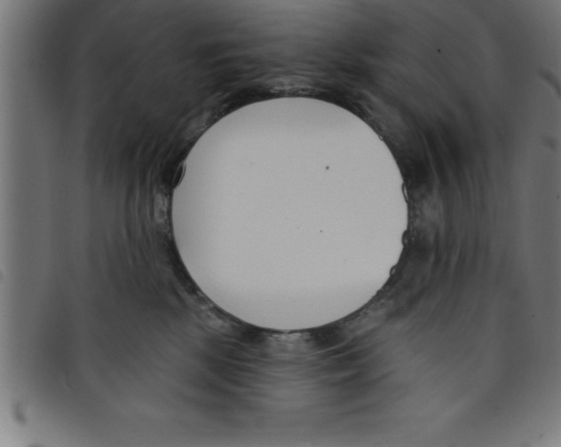 X0000098050281200804251111