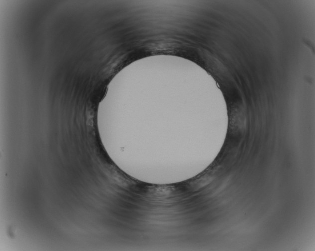 X0000098050282200804251111