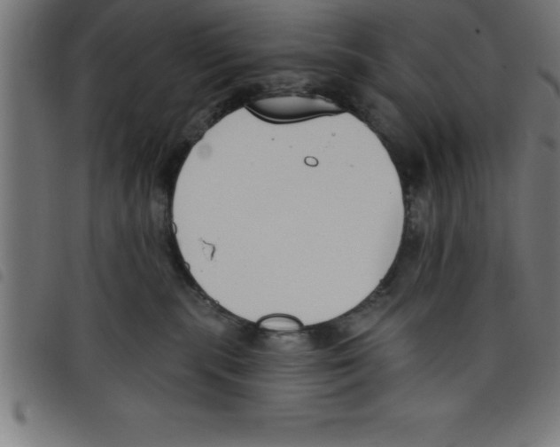 X0000098050283200804251111