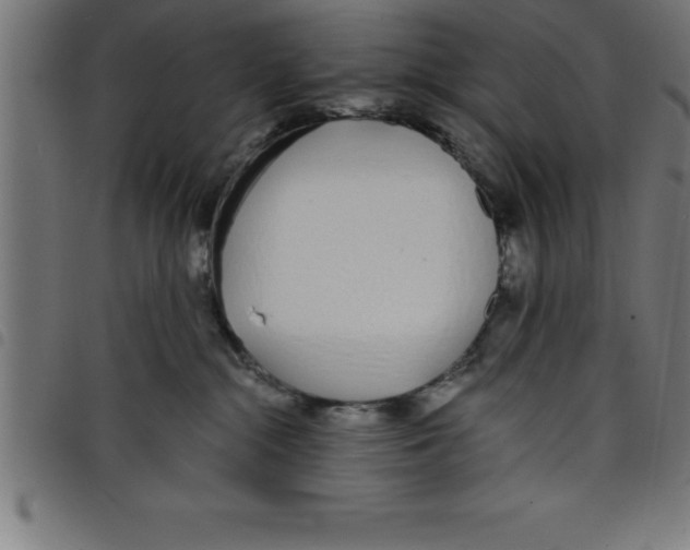 X0000098050284200804251111