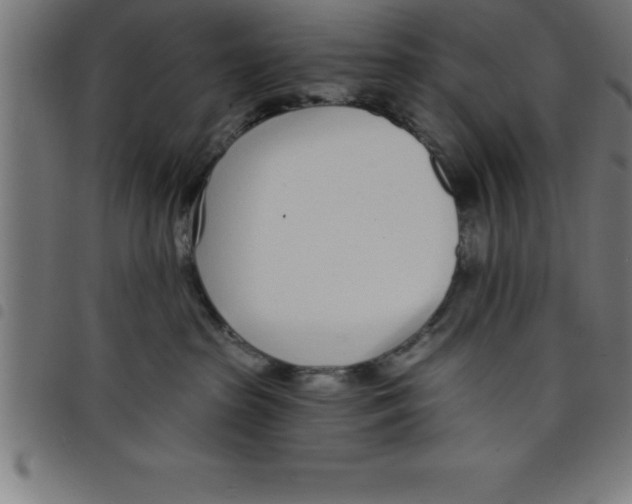 X0000098050285200804251111