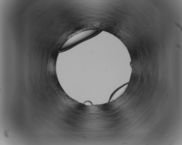 X0000098050287200804251111