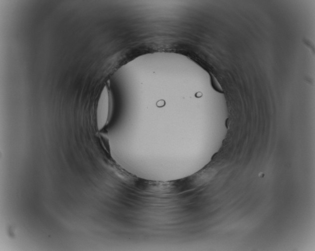 X0000098050288200804251111