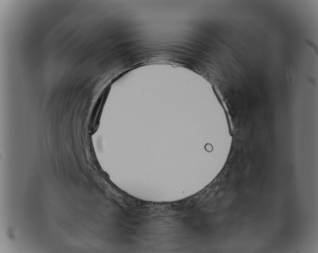 X0000098050289200804251110