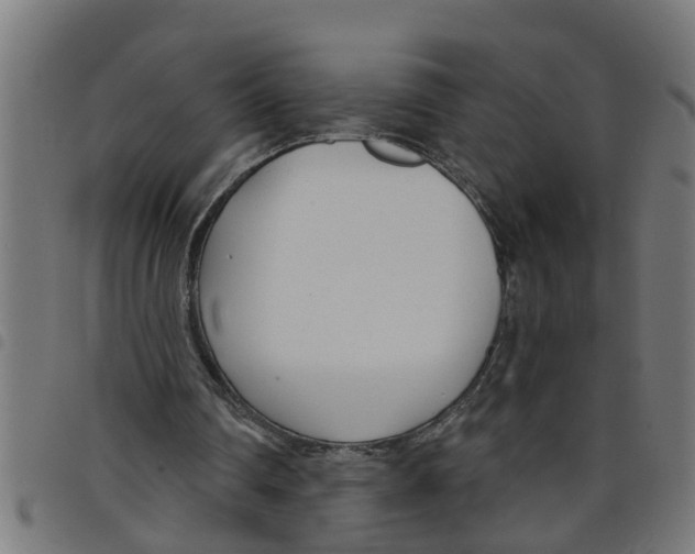 X0000098050290200804251110