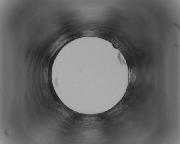 X0000098050291200804251110