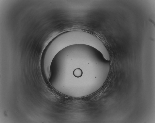 X0000098050292200804251110