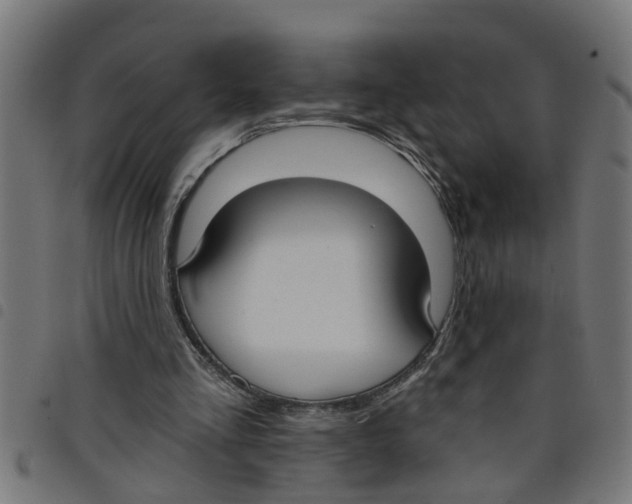 X0000098050293200804251110