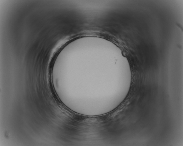 X0000098050294200804251110