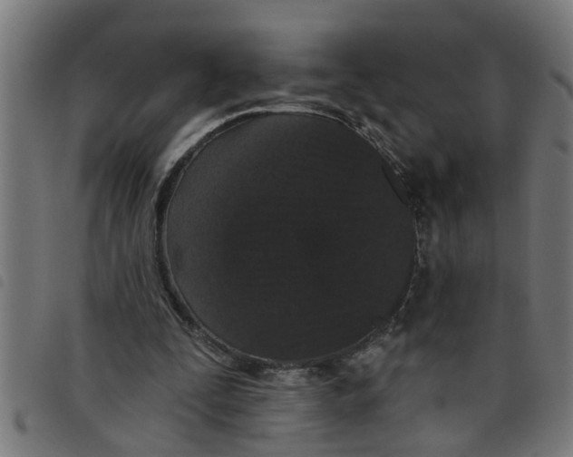 X0000098050295200804251110