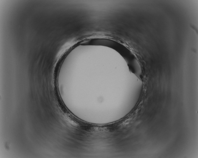 X0000098050296200804251110