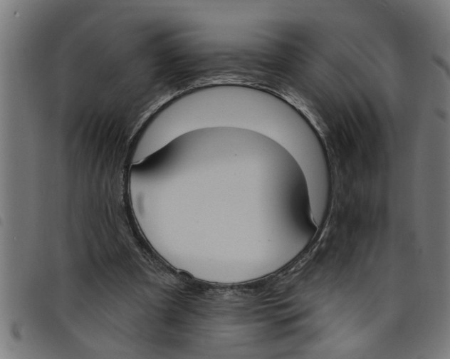 X0000098050297200804251110