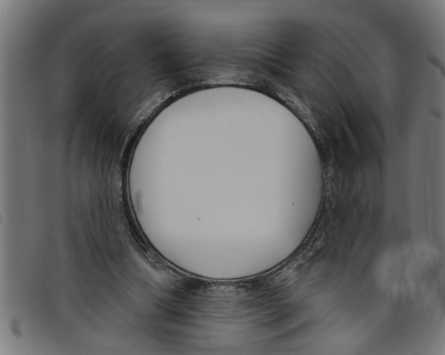 X0000098050298200804251110