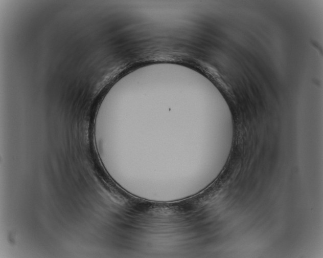 X0000098050299200804251110