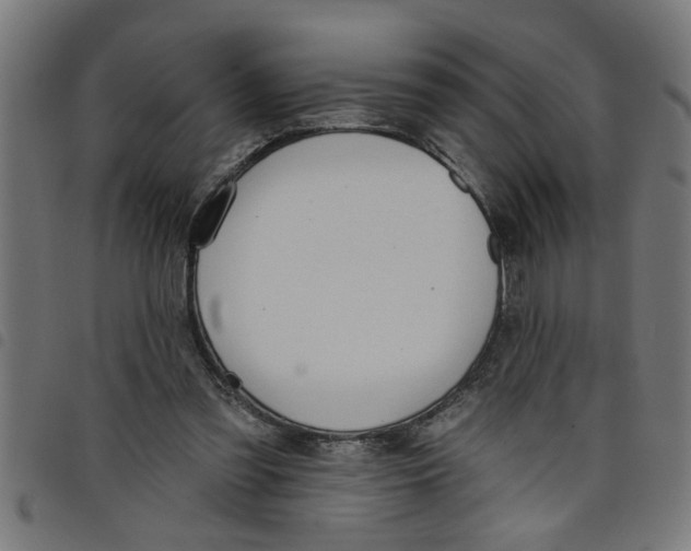 X0000098050301200804251110