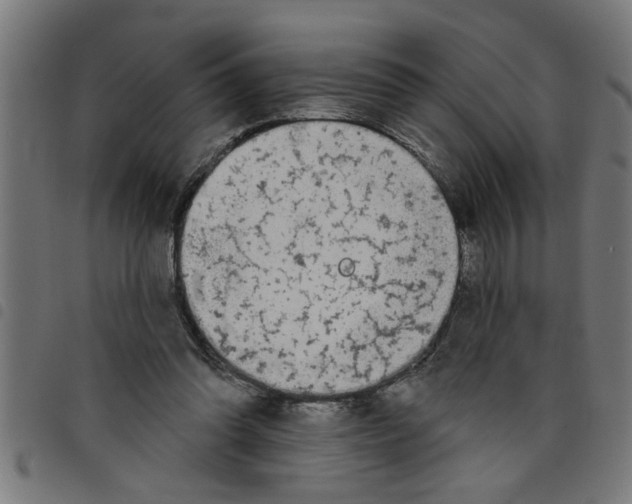 X0000098050302200804251110