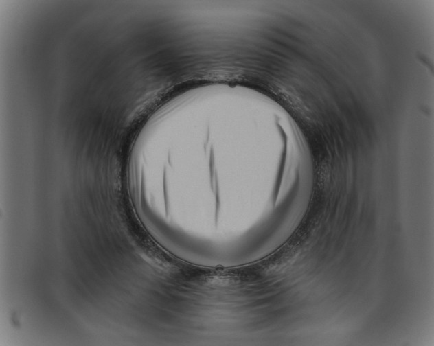 X0000098050303200804251110