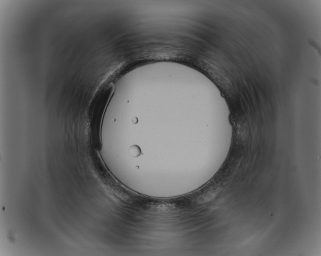 X0000098050304200804251110