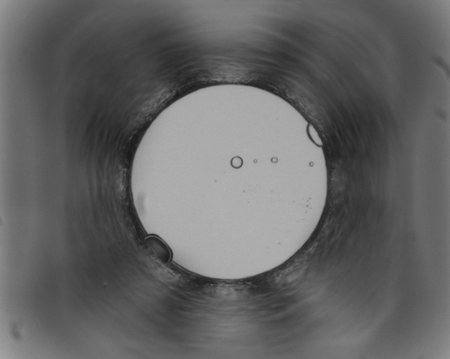 X0000098050305200804251110